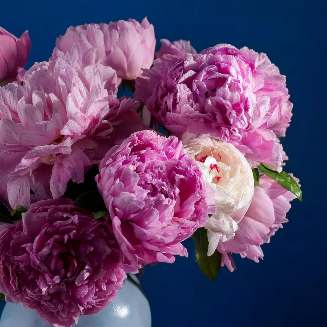 Romantischer Strauß mit weißen und grünen Blüten