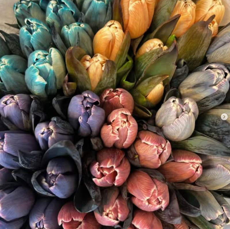 Saisonaler Wildgarten-Strauß